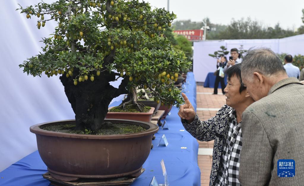 送金币棋牌推荐